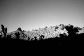 A rocky hillside in high contrast black and white