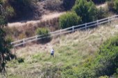 A figure standing out in a field