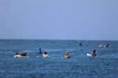 Surfers paddling out past the break