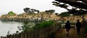 Rocks and water along the Point Lobos coast