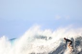 A wave standing up before it breaks